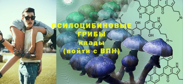 MDMA Медвежьегорск