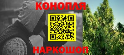 гашик Дубна