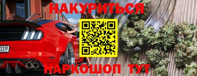 гашик Дубна