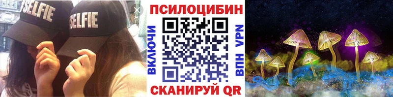 omg tor  цена   Коркино  Галлюциногенные грибы Psilocybe 
