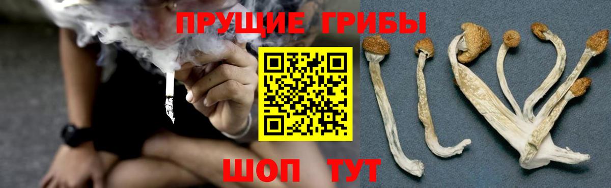 Галлюциногенные грибы Psilocybe  Вход с VPN  Коркино  Галлюциногенные грибы MAGIC MUSHROOMS 