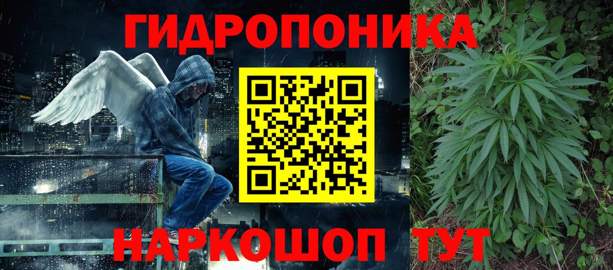 МАРИХУАНА семена  Коркино  Каннабис OG Kush  Конопля SATIVA & INDICA 